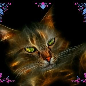 Meet your Posher, Delores